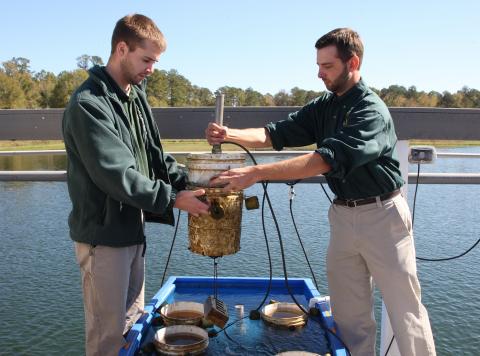Two aquatic biologists working