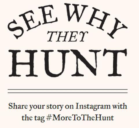 More to the Hunt 