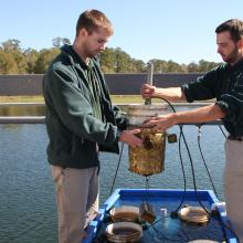 Two aquatic biologists working